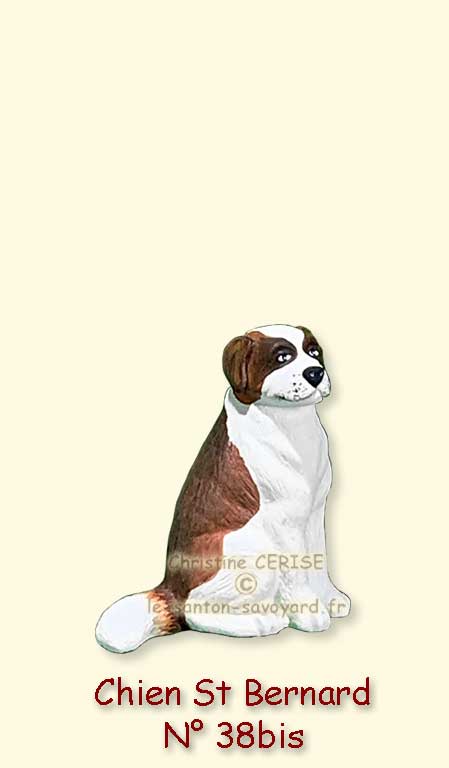 N°38bis chien St Bernard
